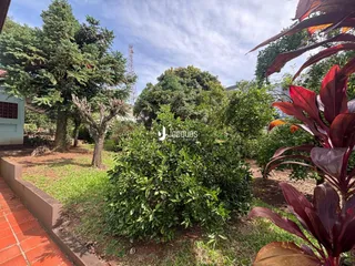 Vista externa de um jardim com vegetação densa e árvores.