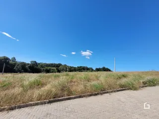 Paisagem de campo com grama seca e vegetação ao fundo.