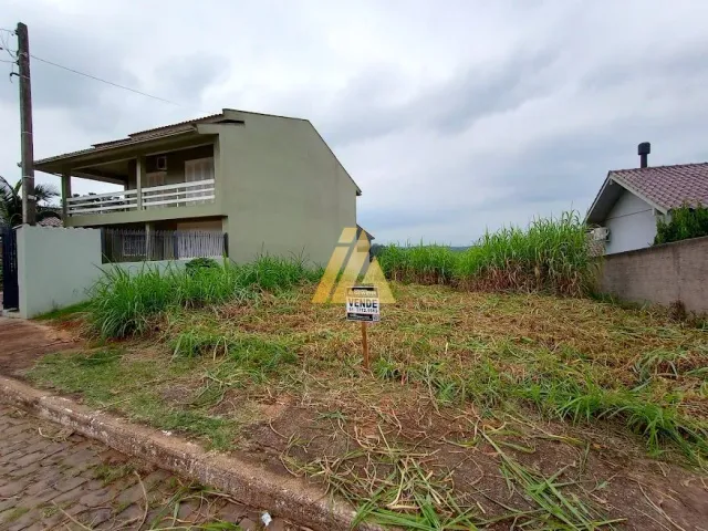 Terreno, foto 2