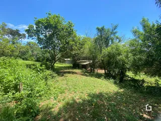 Paisagem de uma propriedade com vegetação densa em Lajeado.