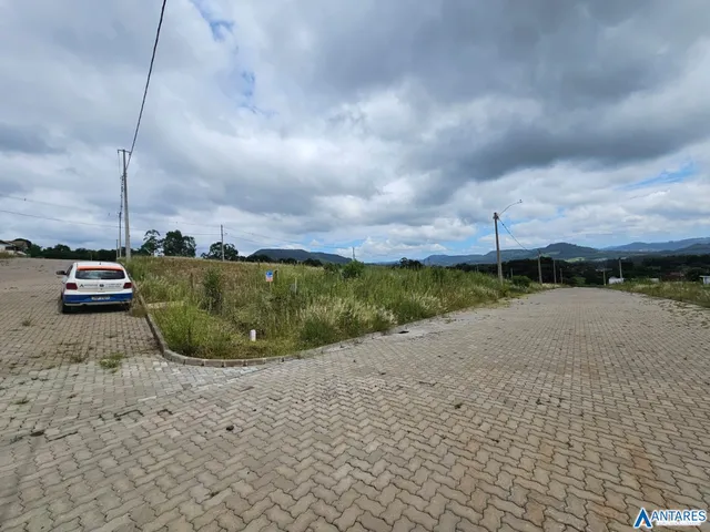Vista da propriedade com vegetação e pavimento ao lado de uma estrada.