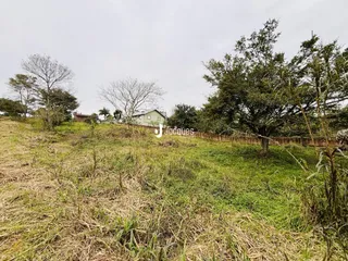 Vista externa de uma propriedade com vegetação alta e grama seca.