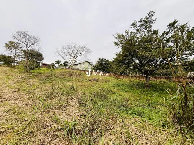 Vista externa de uma propriedade com vegetação alta e grama seca.