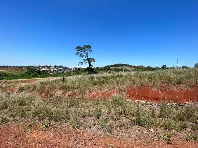 Terreno, foto 2