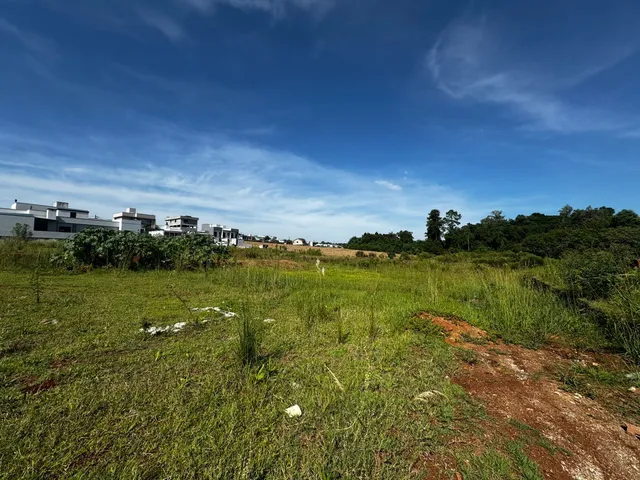 Vista aérea de uma área de campo com vegetação ao redor de uma propriedade.