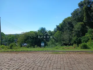 Vista da propriedade com vegetação densa ao fundo.