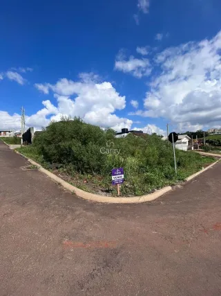 Terreno, foto 1