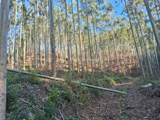 Área rural, foto 9