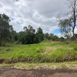 Terreno, foto 2