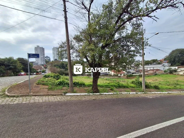 Vista externa da propriedade mostrando uma rua e vegetação ao ar livre.