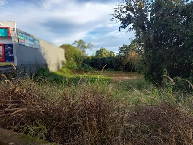 Terreno, foto 4