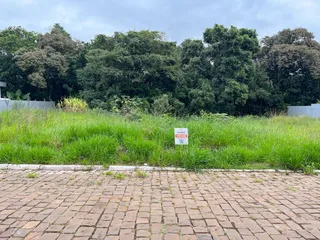 Terreno, foto 1