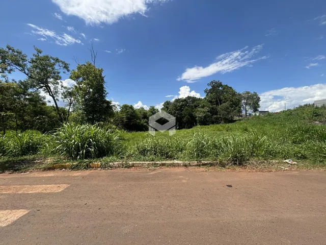 Vista da paisagem com vegetação densa e estrada no primeiro plano.
