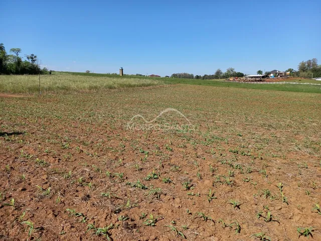 Área rural, foto 3