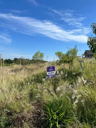 Terreno, foto 3
