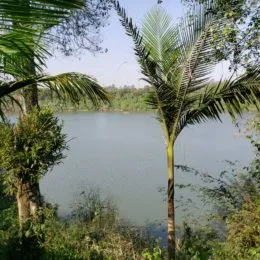 Área rural, foto 9