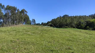 Vista de um campo gramado com vegetação densa ao fundo.