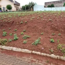 Terreno, foto 4