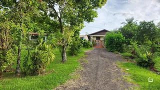 Uma estrada de terra com vegetação ao redor de uma casa.