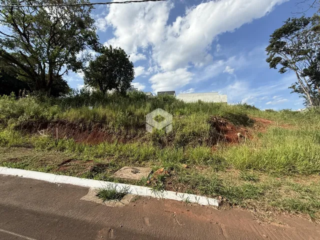 Paisagem de terreno com vegetação alta ao lado de uma estrada.