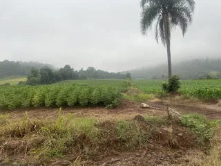 Imóvel, foto 2