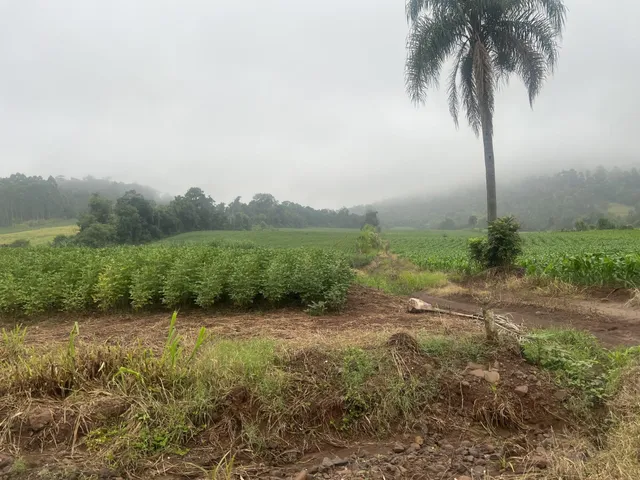 Imóvel, foto 2