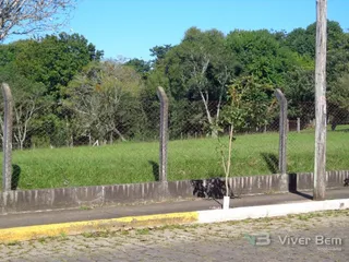 Terreno, foto 2