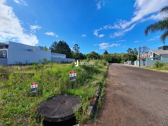 Vista da rua e vegetação ao lado de uma propriedade em Lajeado.