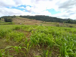 Área rural, foto 5