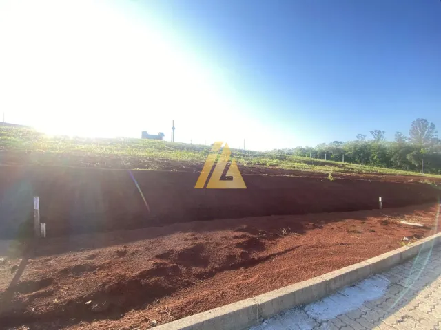 Terreno, foto 4