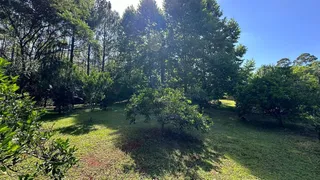 Área rural com 3 dormitórios, foto 51