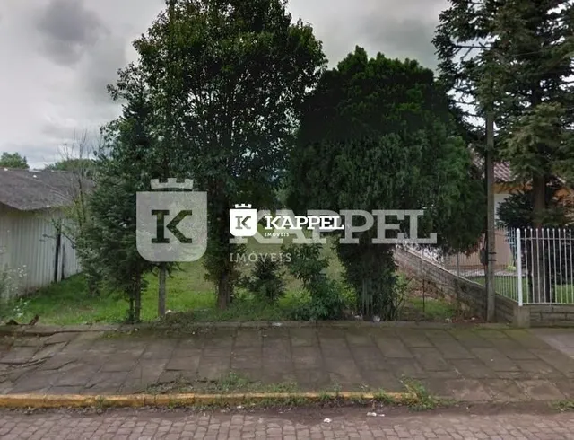 Vista externa mostrando árvores e uma área pavimentada na propriedade.