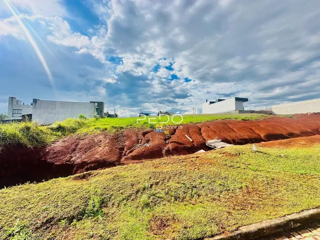 Paisagem de uma encosta com vegetação verde e solo avermelhado.