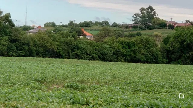 Terreno, foto 3