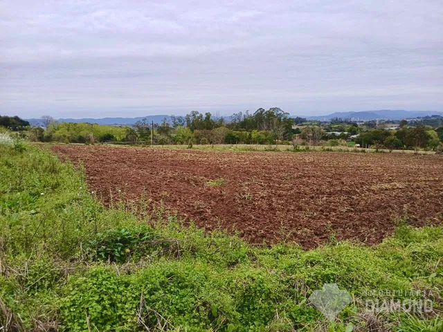 Terreno, foto 2