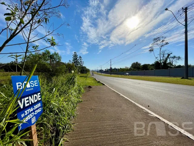 Terreno, foto 2