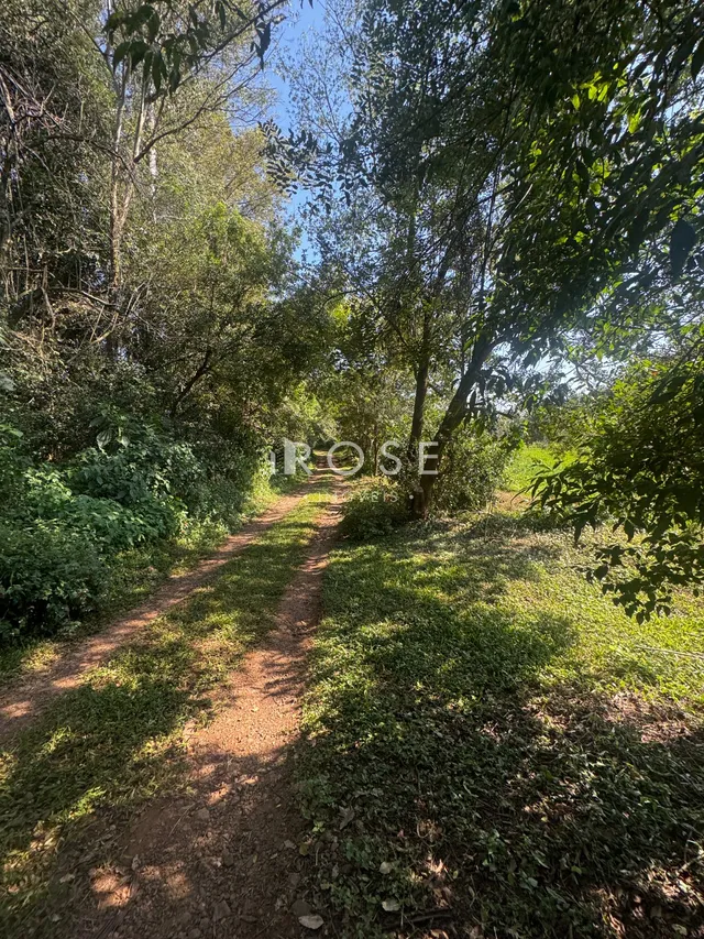 Área rural, foto 3