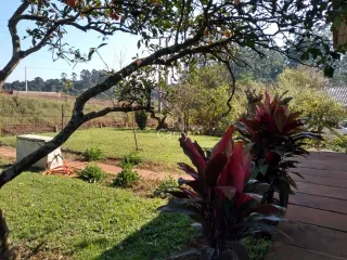 Área rural com 3 dormitórios, foto 2