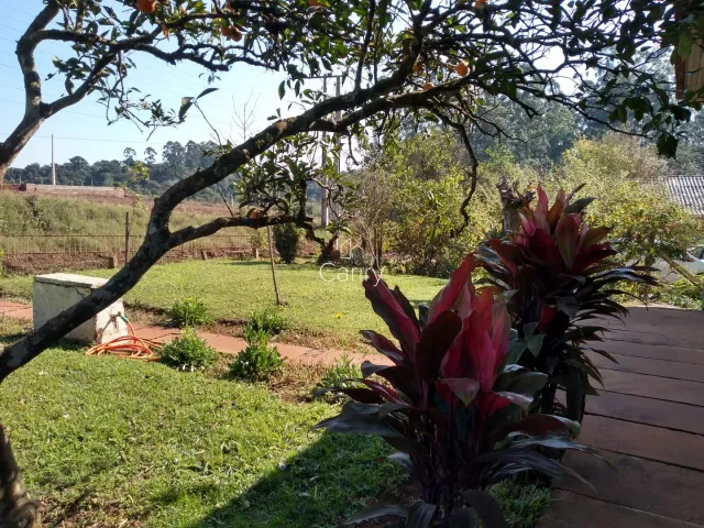 Área rural com 3 dormitórios, foto 2