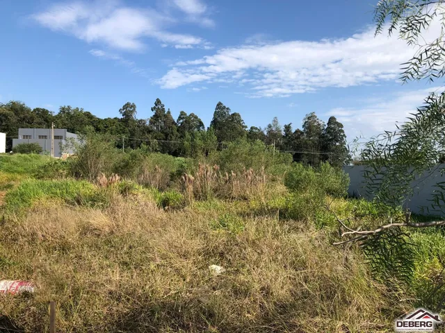 Terreno, foto 3