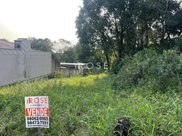 Terreno, foto 2