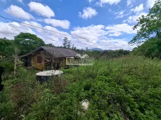 Casa com 2 dormitórios, foto 4