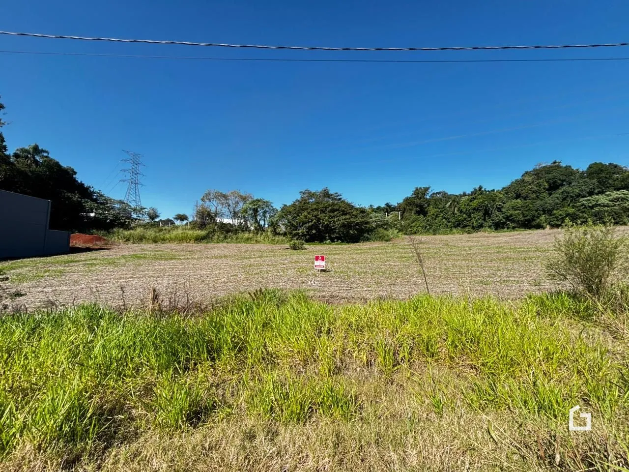 Vista de uma área de campo com vegetação rasteira e árvores ao fundo.
