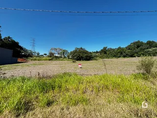 Vista de uma área de campo com vegetação rasteira e árvores ao fundo.