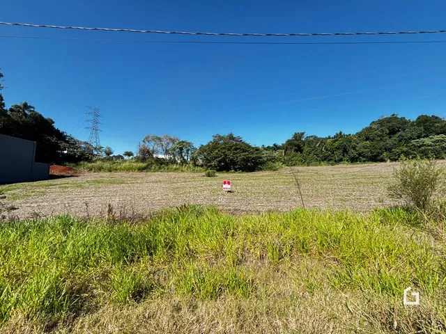 Vista de uma área de campo com vegetação rasteira e árvores ao fundo.