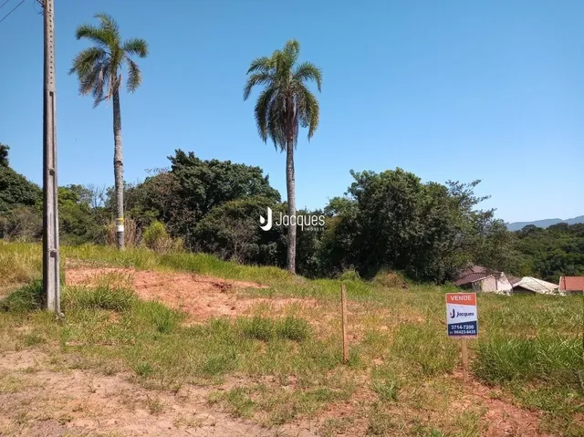 Vista externa de um terreno com vegetação seca e árvores.