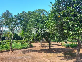 Área rural com 2 dormitórios, foto 20