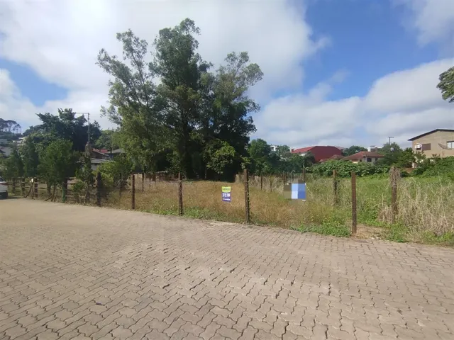 Terreno, foto 2