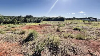 Terreno, foto 3