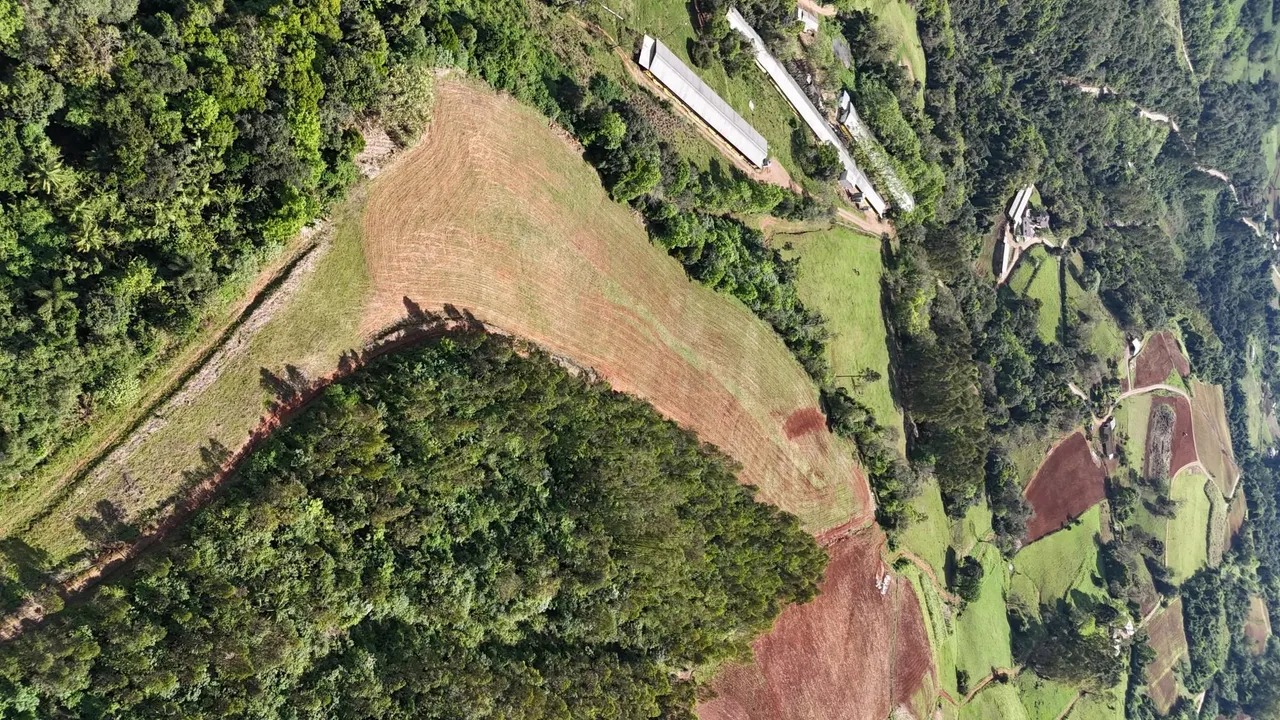Área rural com 3 dormitórios, foto 1